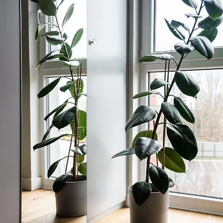 Bohema Place - Metro Szwedzka Апартаменты