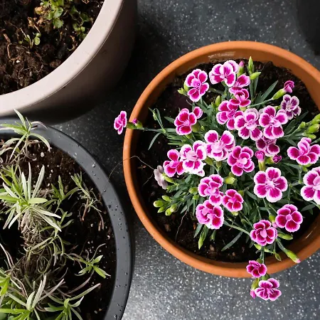 Bohema Place - Metro Szwedzka Варшава